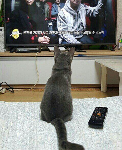 리뷰어 프로필