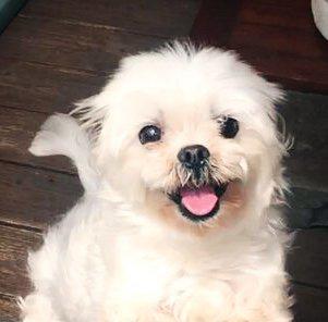 drleo 프로필