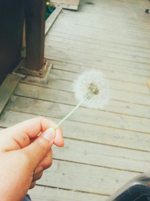 도욥 프로필