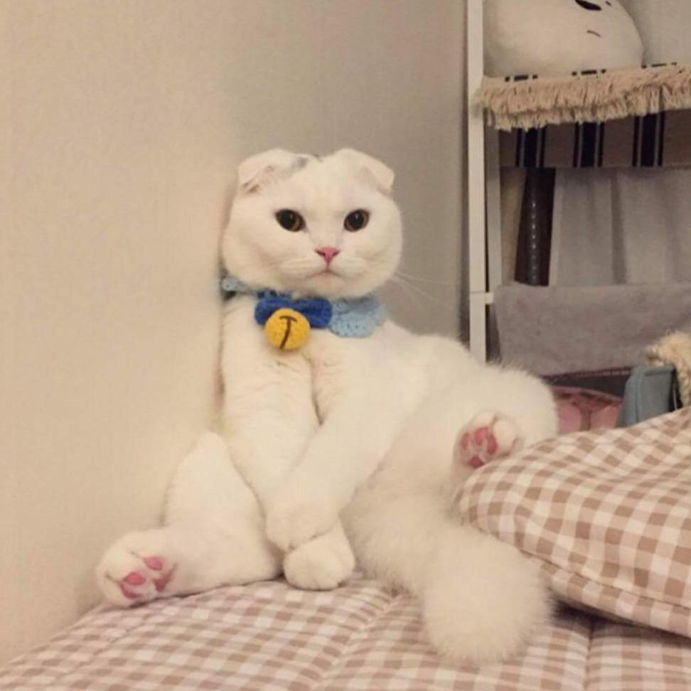 토르끼 프로필