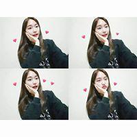 댕댕6 프로필