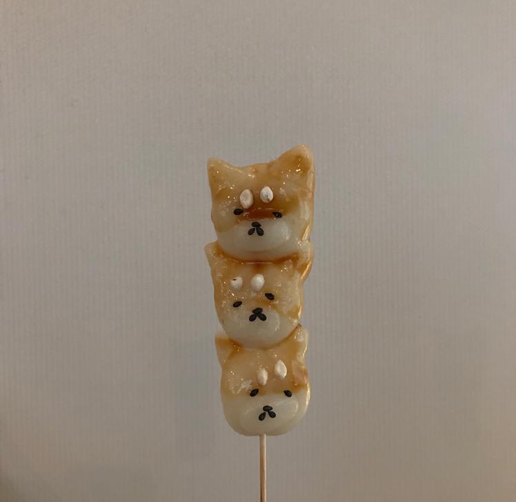 하욤스 프로필