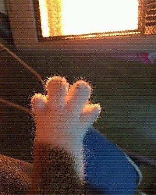 리뷰어 프로필