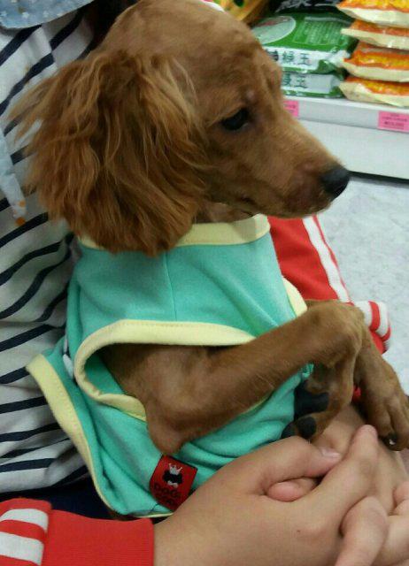 까마기 프로필