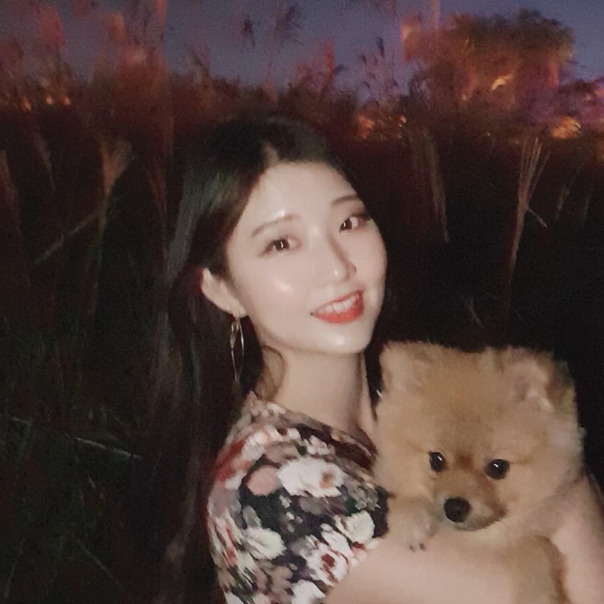 뿅뿅뿅2 프로필