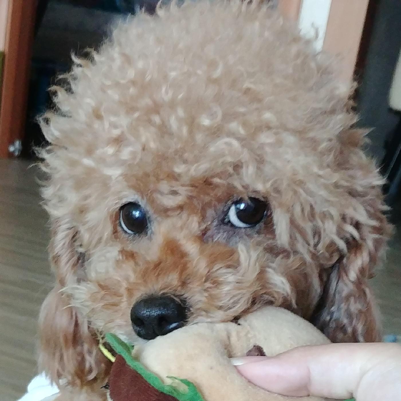 기지루 프로필