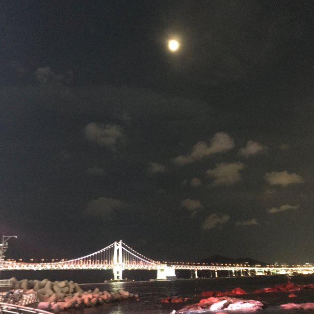 윤둥아리 프로필