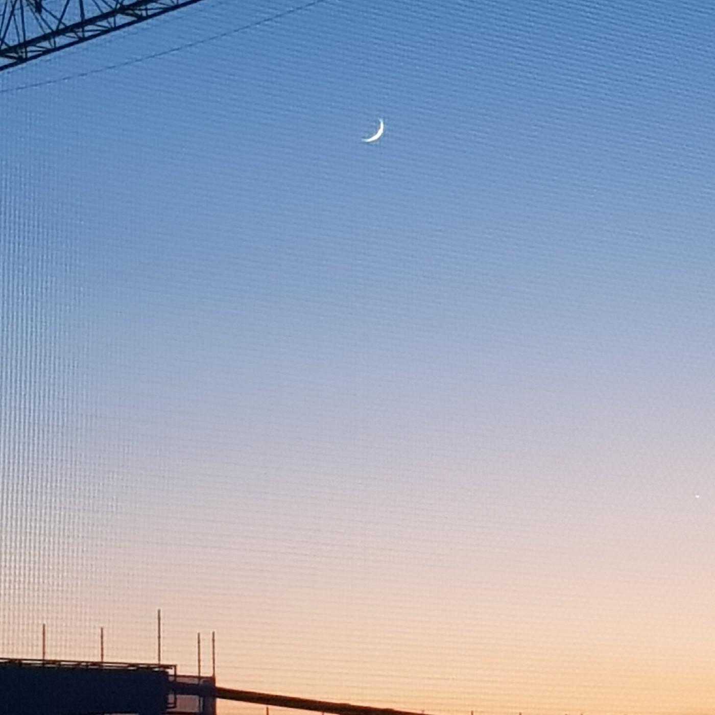 hy2399 프로필