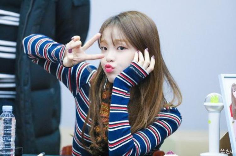 빅픽쳐 프로필