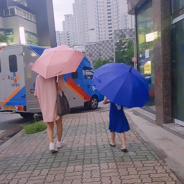 거시기털 프로필
