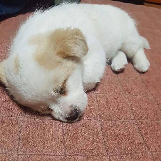 비포에버 프로필