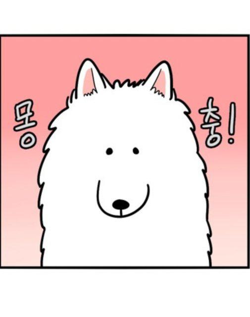 mazy1016 프로필