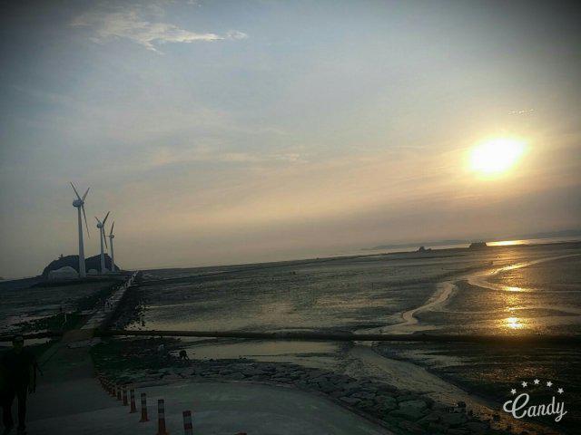 김꾸리김사과 프로필