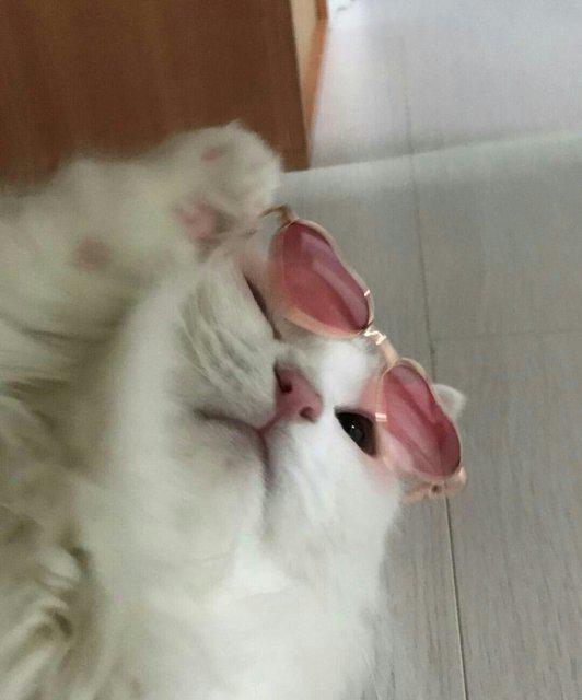 뮴뮴뮤 프로필