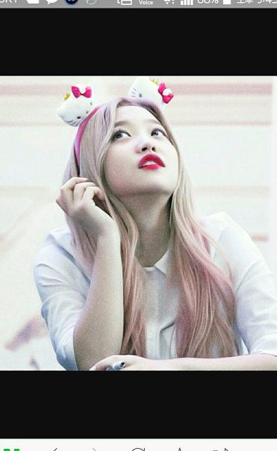 솜별 프로필