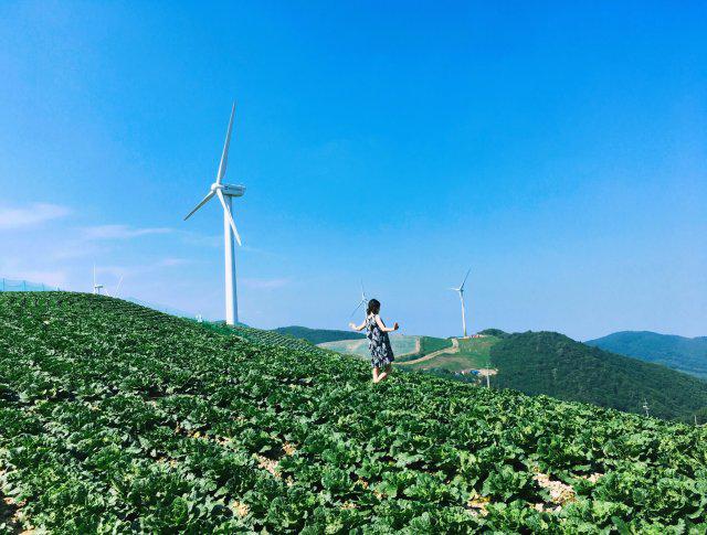 swi_ming 프로필