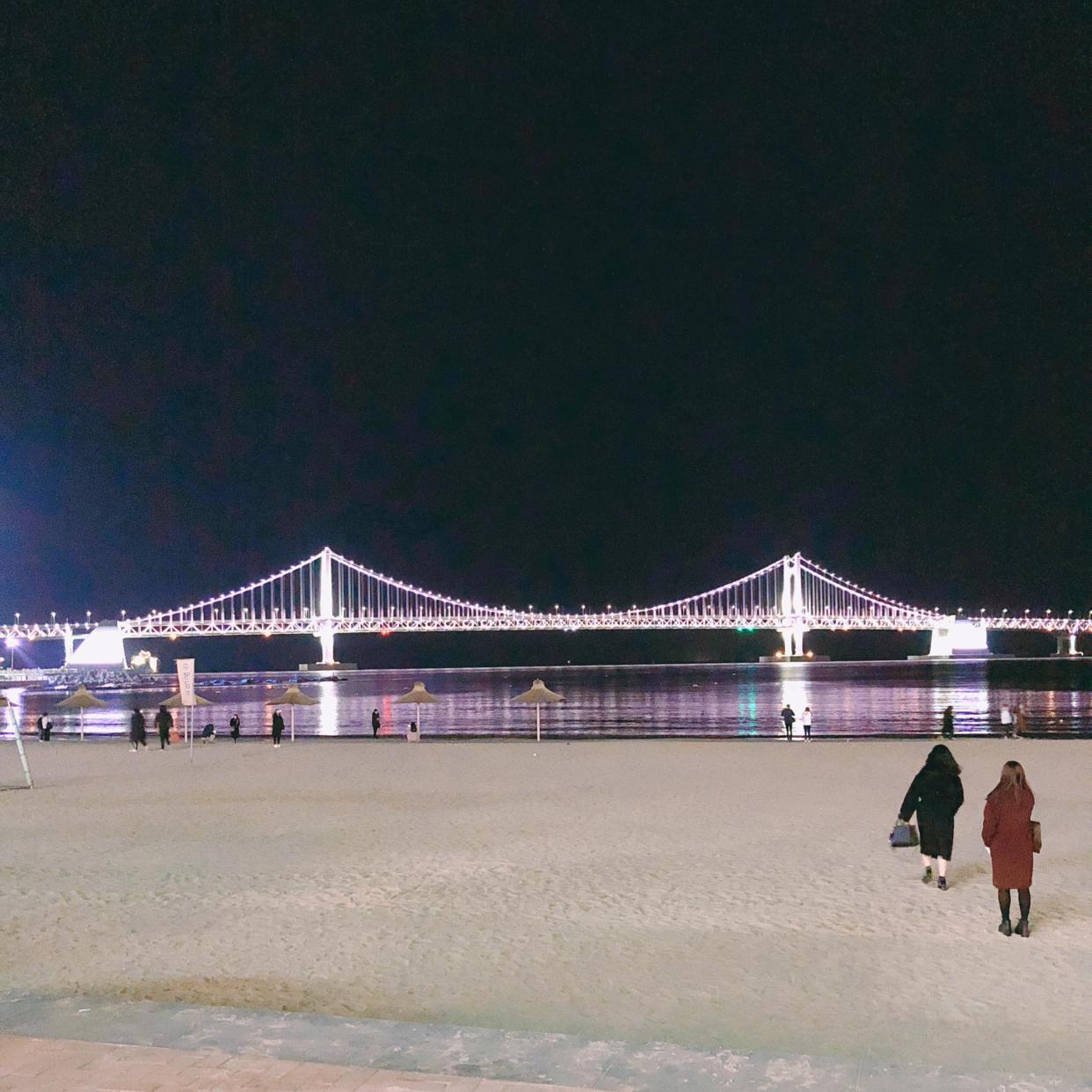 탱티베어 프로필