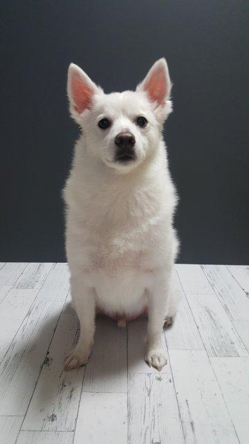 cosmeJJUA 프로필