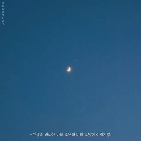 황제물개 프로필