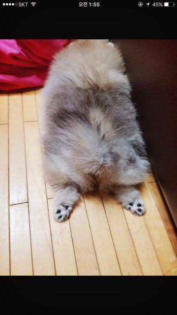 소낙e 프로필