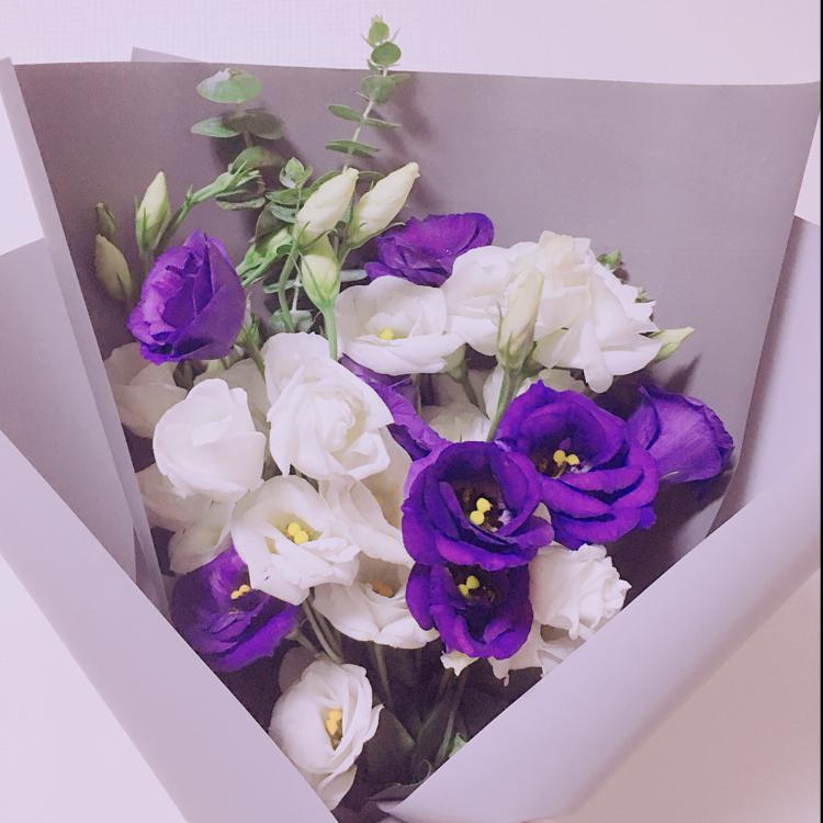 도미솔 프로필