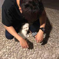 만두옝 프로필