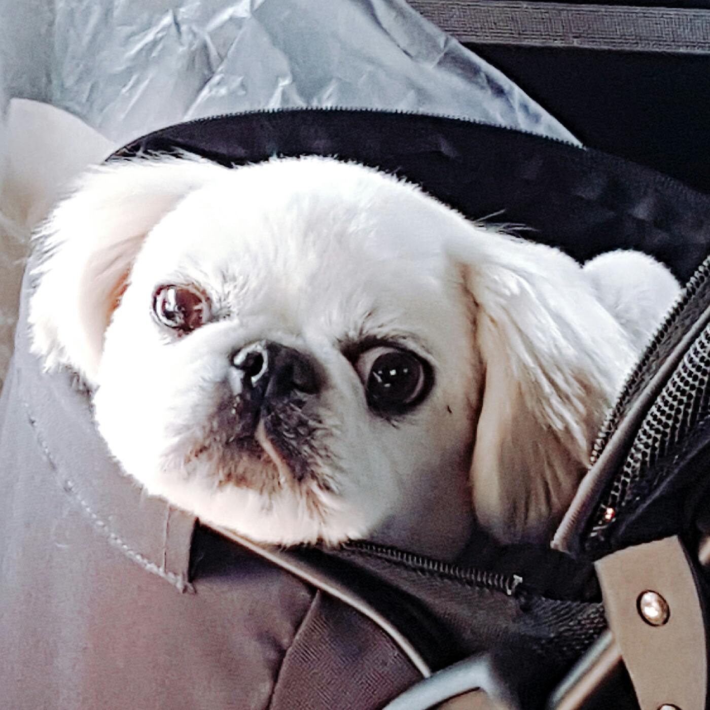 리뷰어 프로필