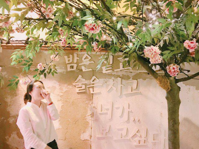 쭈애쭈 프로필