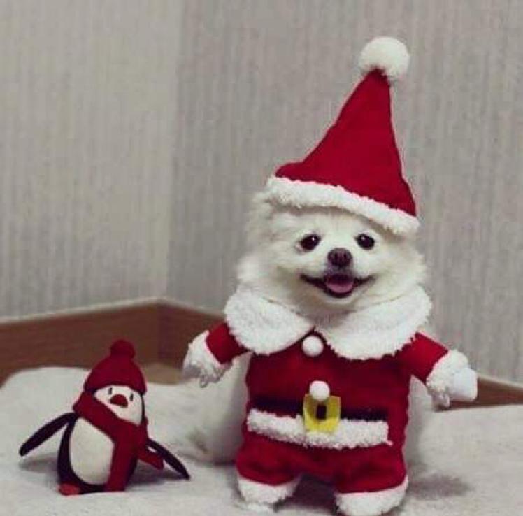 ㄱㅣㅁㅎㅡㅣㅈㅓㅇ 프로필