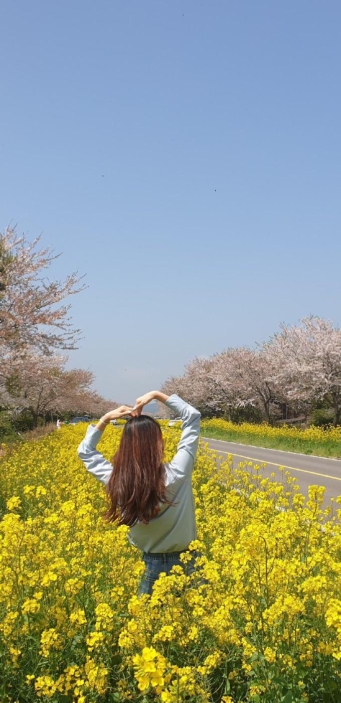초록반딧불이 프로필