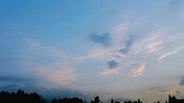 앙쿄 프로필
