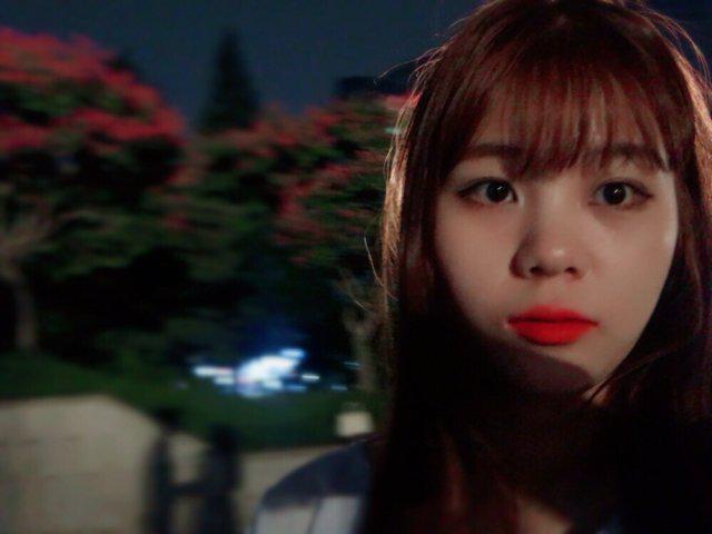 쿠크닷 프로필