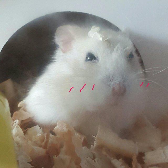 ekdusdl02 프로필