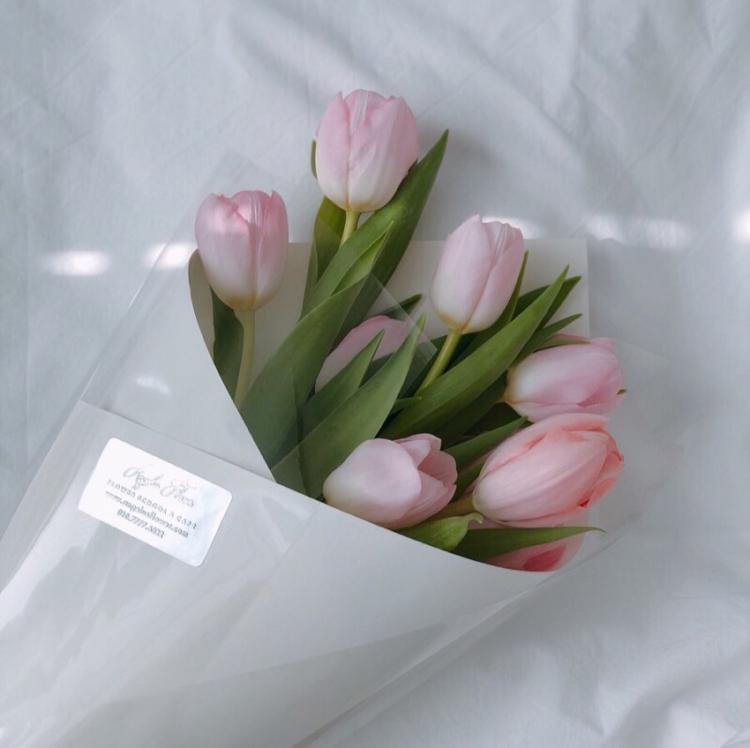 예지잉ㅇ 프로필