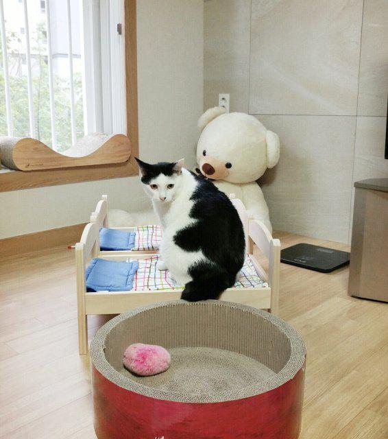 미니멜 프로필