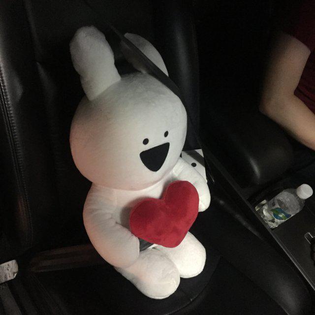 싱싱비 프로필