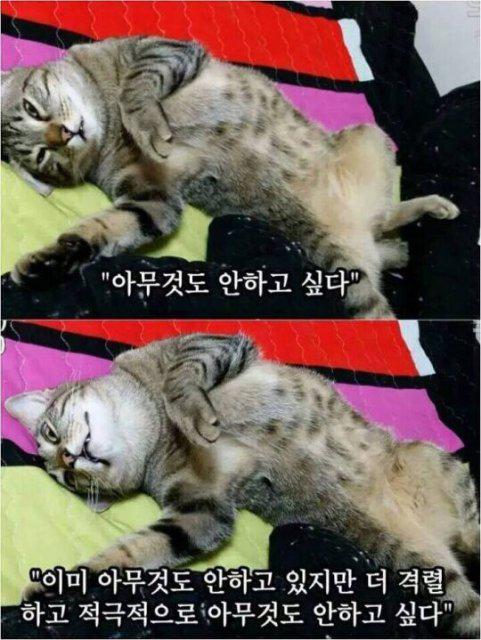 뿜뿜뿜뿜뿜뿜 프로필