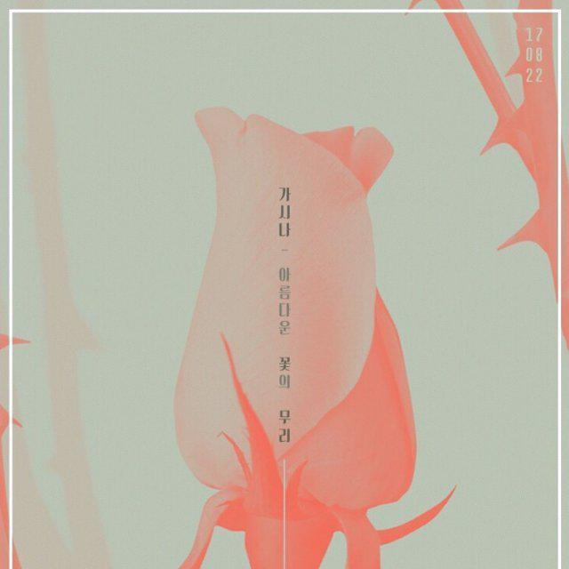 륄리리뤼 프로필