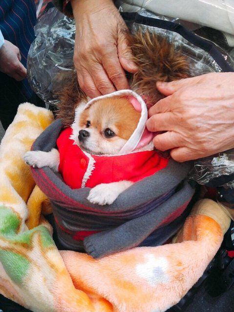 봄보미유 프로필