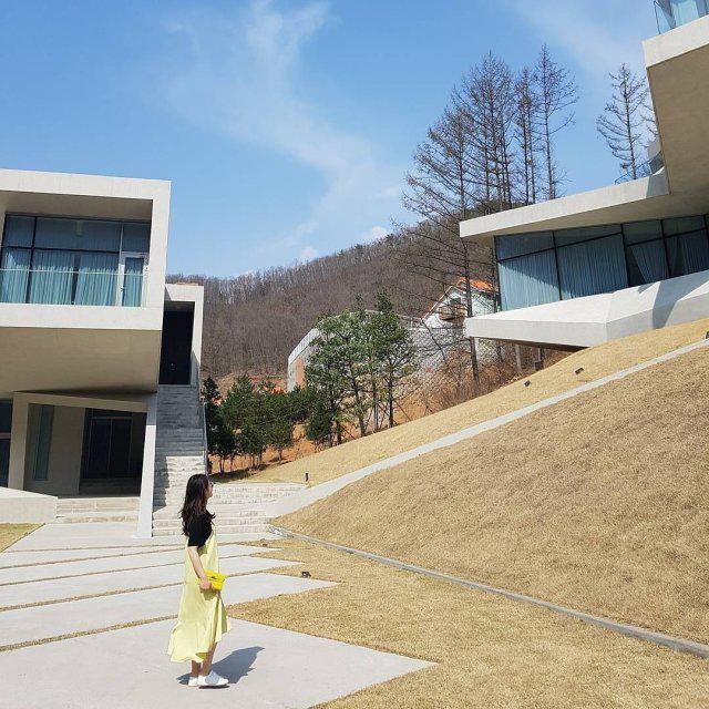 krk___ 프로필