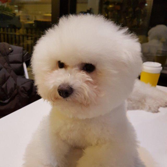 ahnoha90 프로필