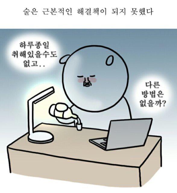 setyuo12 프로필