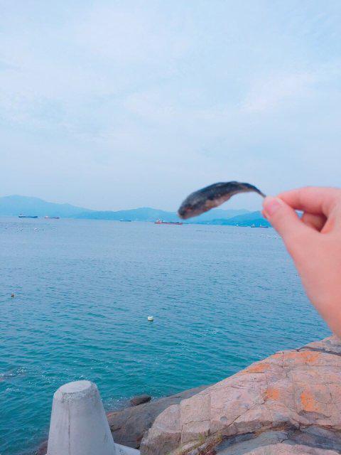 키위쥬스 프로필