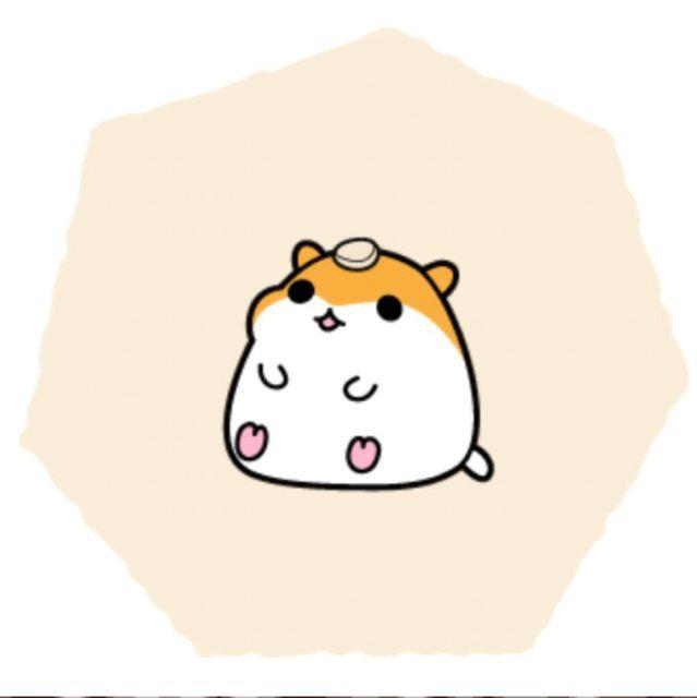 spicas 프로필