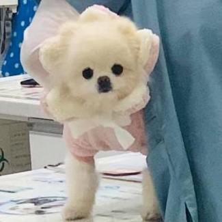구름위를동동 프로필