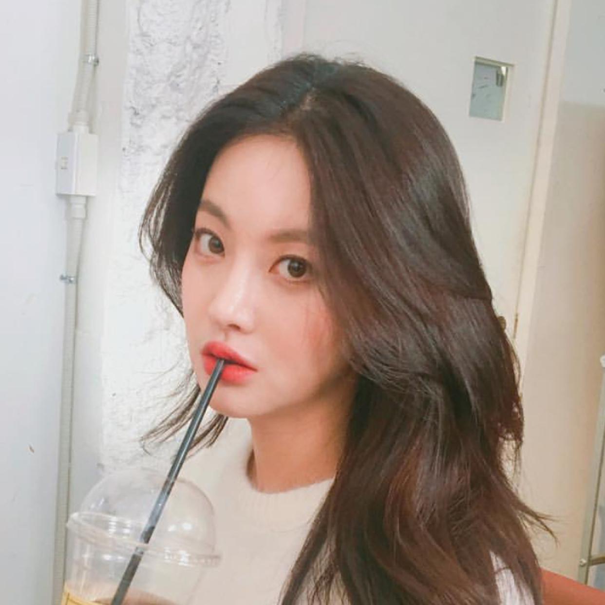 댕댕늉 프로필