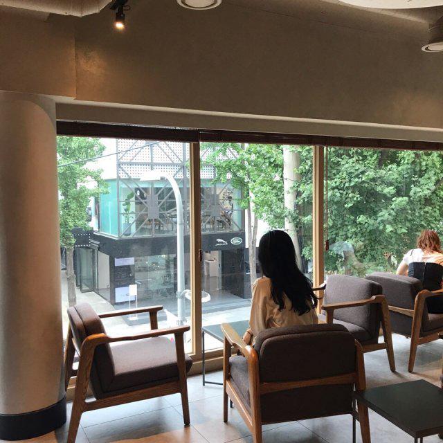 퐁이옹이 프로필