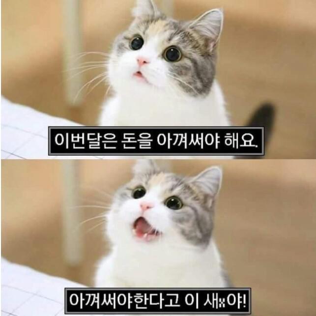 오목바둑 프로필
