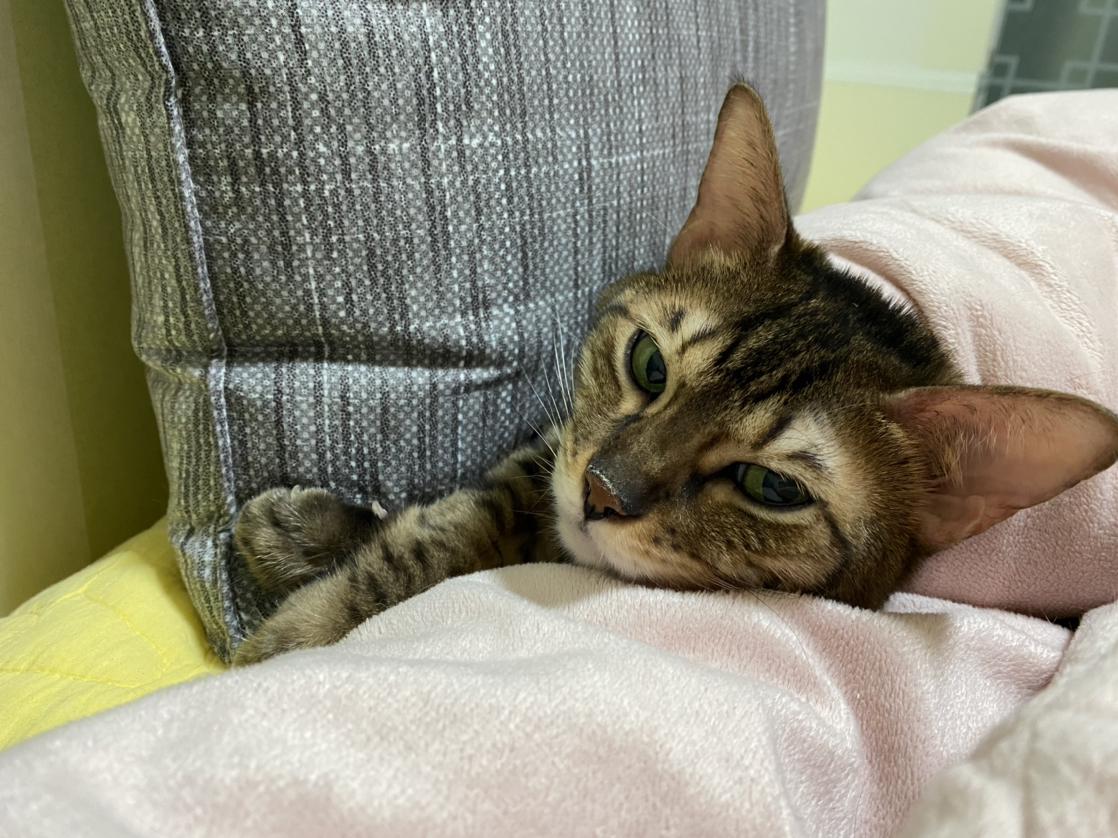 러블리워닝 프로필