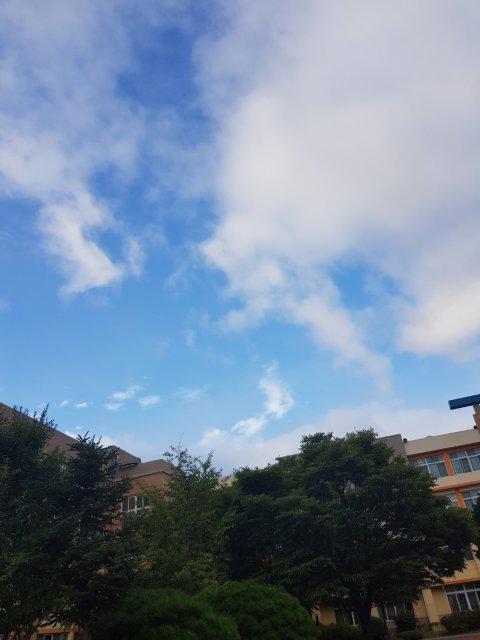 나카 프로필